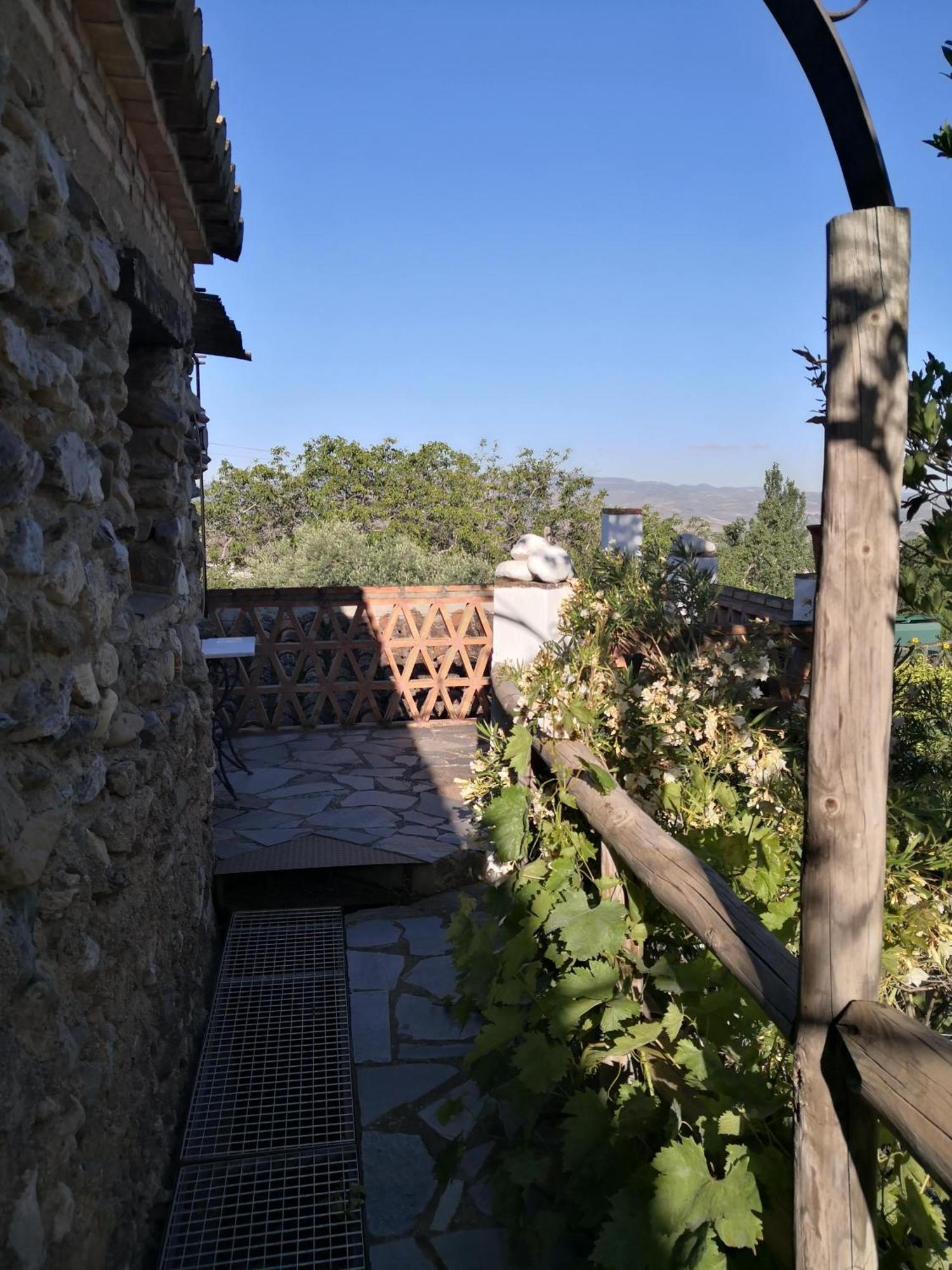 Hotel Rural Alqueria De Los Lentos Nigüelas Rum bild