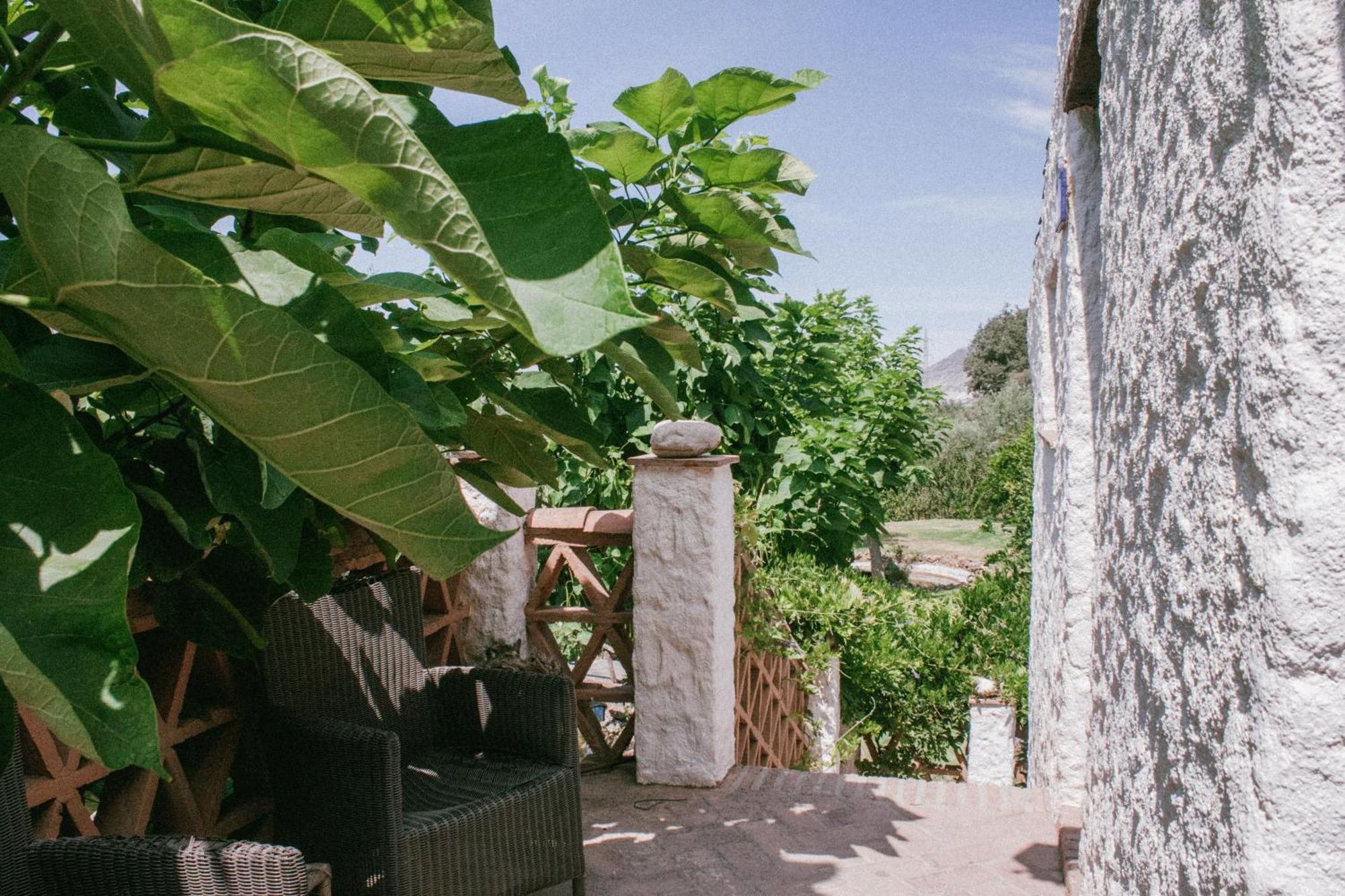 Hotel Rural Alqueria De Los Lentos Nigüelas Rum bild