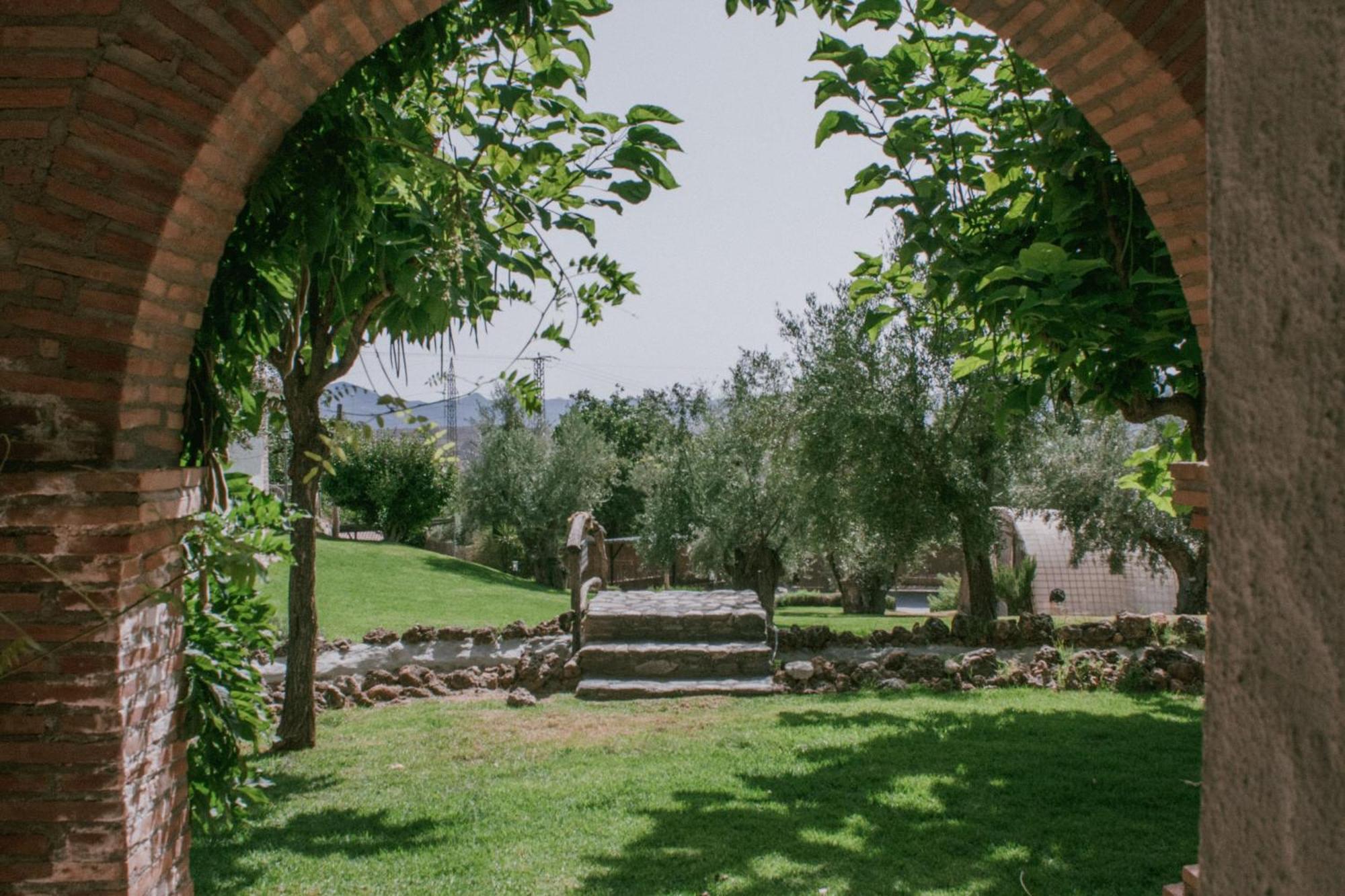 Hotel Rural Alqueria De Los Lentos Nigüelas Rum bild